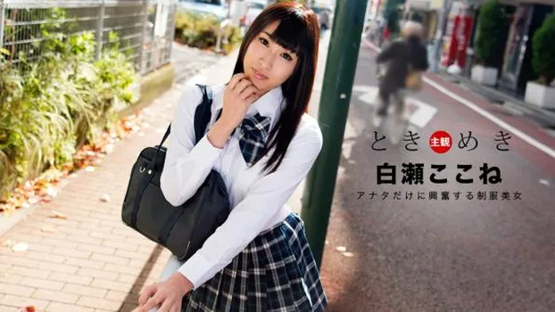 ときめき〜僕だけの制服美女〜