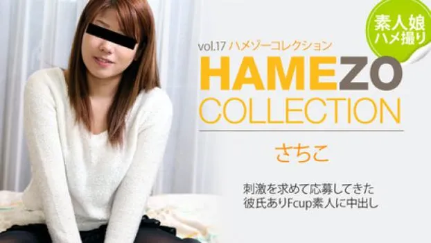 HAMEZO～ハメ撮りコレクション～vol.17